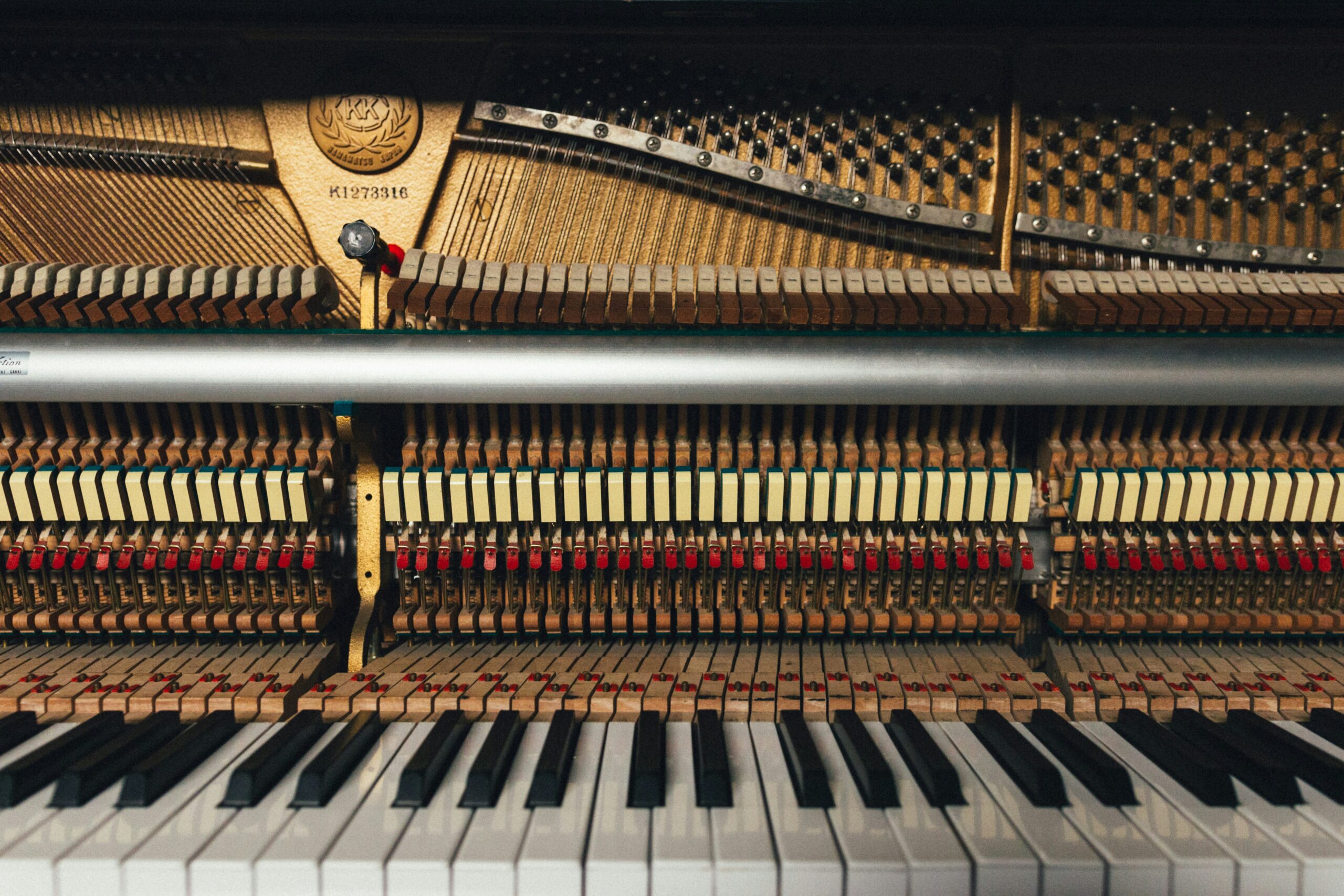 markus-gjengaar-v3l8kTbPhzA-unsplash